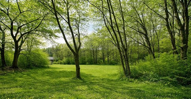 2705 Johnson Branch Rd, Leoma, TN 38468