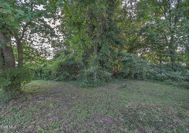 1618 Vance, Kingsport, TN 37664