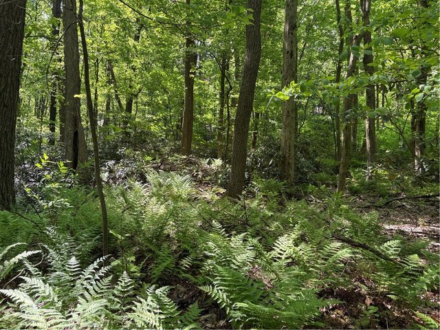 Lot 1C Cottonwood Rd, Bullskin Twp, PA 15610