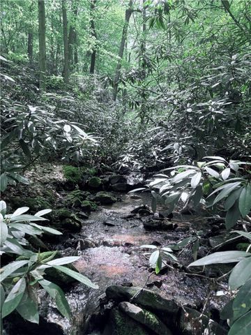 Lot 1C Cottonwood Rd, Bullskin Twp, PA 15610