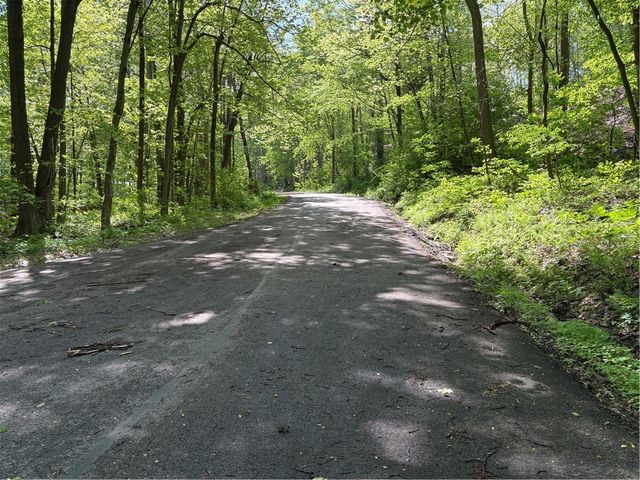 Lot 1C Cottonwood Rd, Bullskin Twp, PA 15610