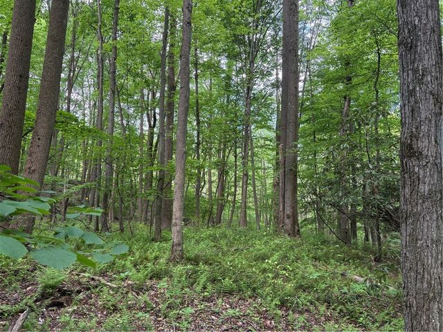 Lot 1C Cottonwood Rd, Bullskin Twp, PA 15610