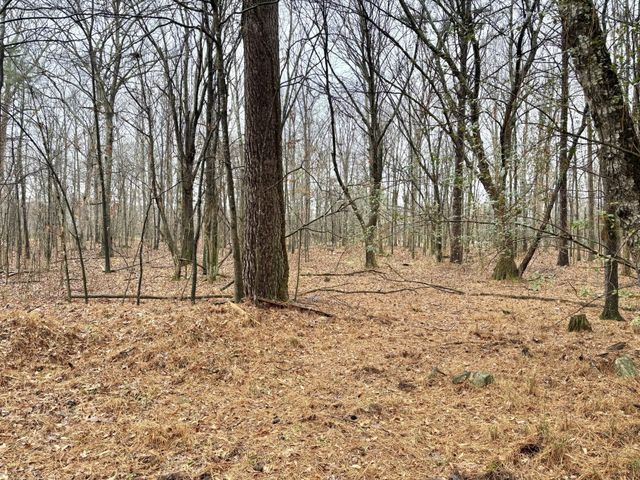 0 Grundy Street, E, Tullahoma, TN 37388