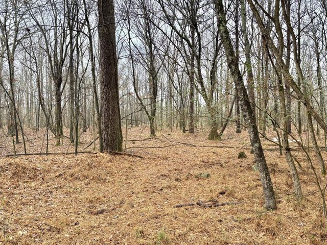 0 Grundy Street, E, Tullahoma, TN 37388