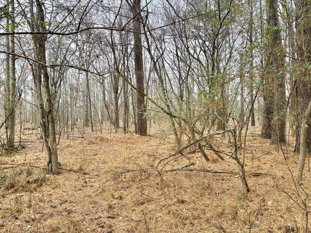 0 Grundy Street, E, Tullahoma, TN 37388