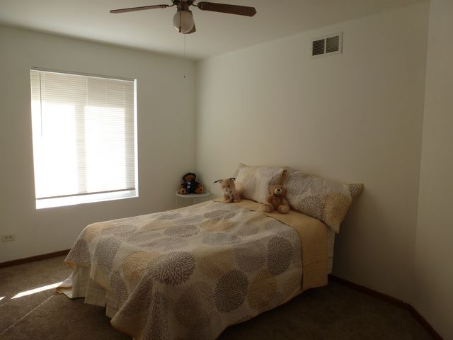 16212 Trumbull Avenue, Markham, IL 60428