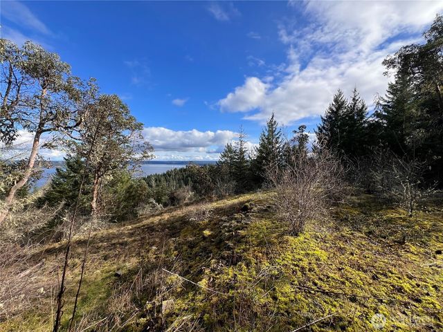 59 X Moose Mountain Road, Brinnon, WA 98320