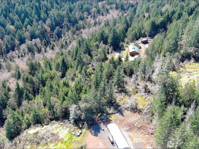 59 X Moose Mountain Road, Brinnon, WA 98320