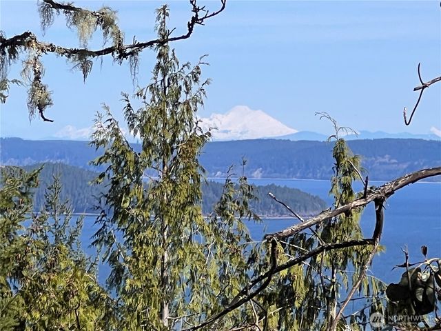59 X Moose Mountain Road, Brinnon, WA 98320