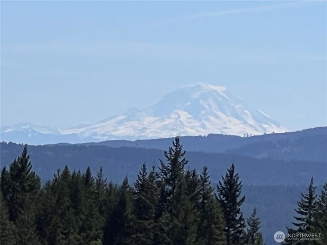 59 X Moose Mountain Road, Brinnon, WA 98320