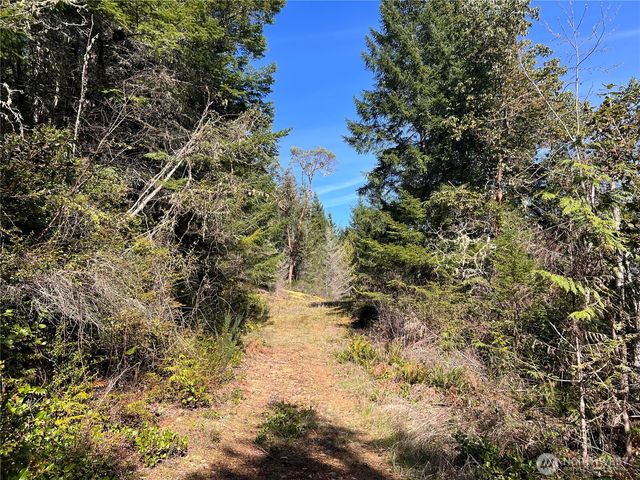 59 X Moose Mountain Road, Brinnon, WA 98320