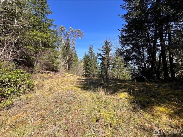 59 X Moose Mountain Road, Brinnon, WA 98320