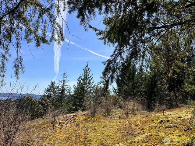 59 X Moose Mountain Road, Brinnon, WA 98320