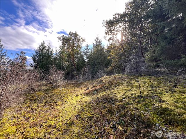 59 X Moose Mountain Road, Brinnon, WA 98320