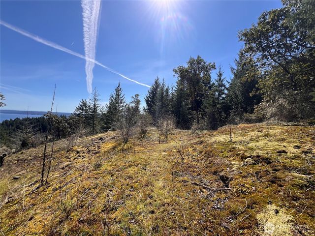 59 X Moose Mountain Road, Brinnon, WA 98320