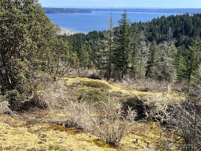 59 X Moose Mountain Road, Brinnon, WA 98320