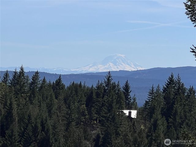 59 X Moose Mountain Road, Brinnon, WA 98320