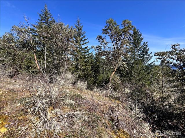 59 X Moose Mountain Road, Brinnon, WA 98320
