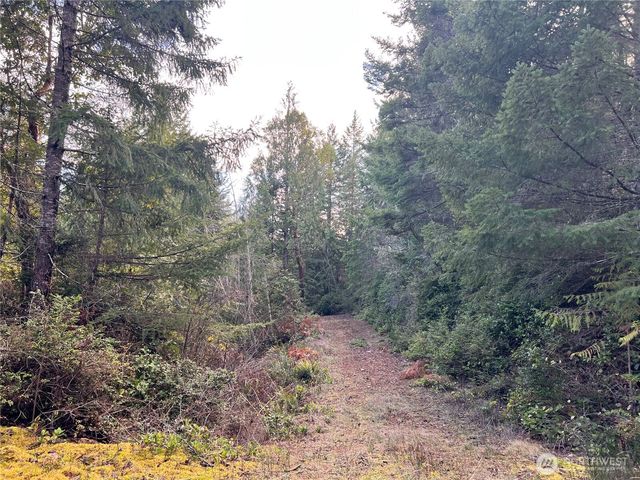 59 X Moose Mountain Road, Brinnon, WA 98320