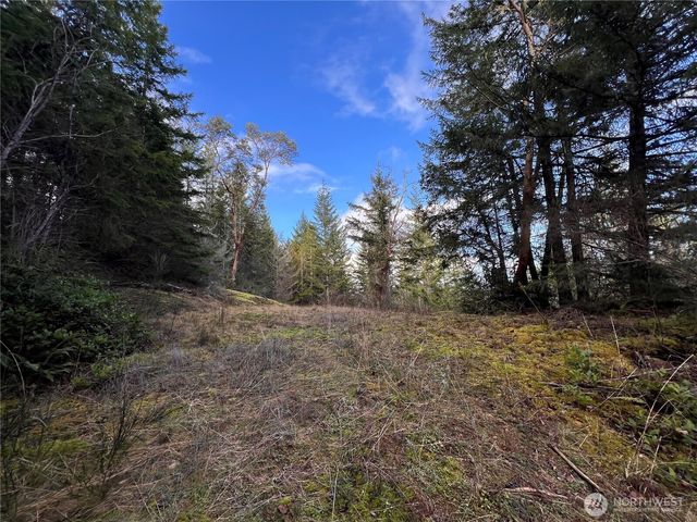 59 X Moose Mountain Road, Brinnon, WA 98320
