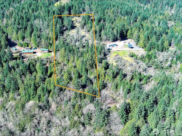 59 X Moose Mountain Road, Brinnon, WA 98320