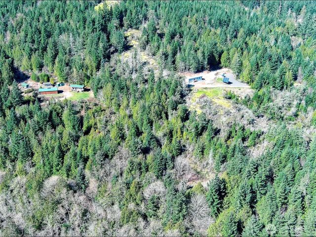 59 X Moose Mountain Road, Brinnon, WA 98320