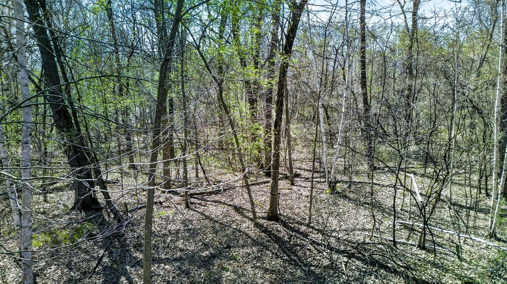 Parcel 3 Grand Avenue, Harris, MN 55032 — photo 5