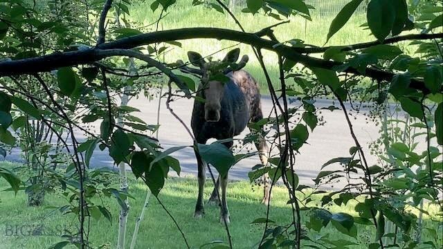 1055 Skywood Road, Big Sky, MT 59716