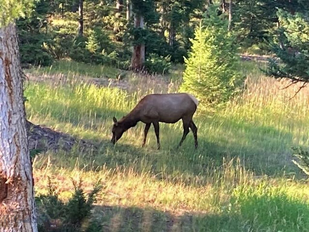 1055 Skywood Road, Big Sky, MT 59716 photo 48
