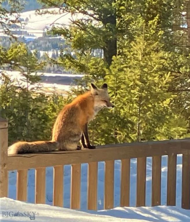 1055 Skywood Road, Big Sky, MT 59716 photo 50