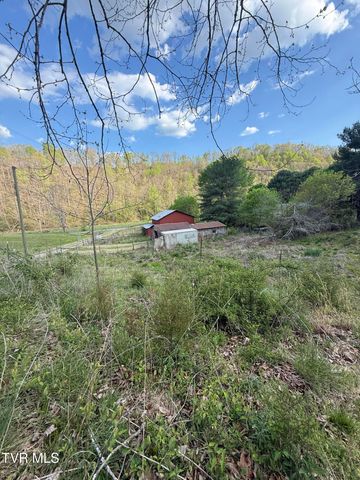 2497 Upper Copper Creek Road, Castlewood, VA 24224