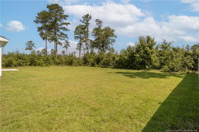 3013 Deeside (Lot 1163) Court, Fayetteville, NC 28306