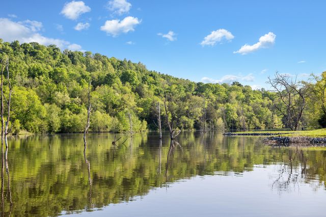 605 Red Oak Rd, Petersburg, TN 37144