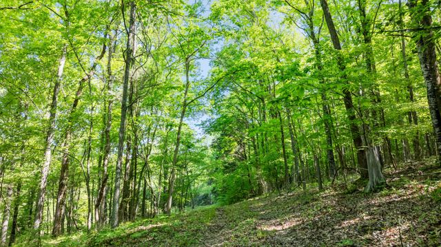 605 Red Oak Rd, Petersburg, TN 37144