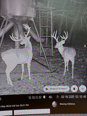 605 Red Oak Rd, Petersburg, TN 37144