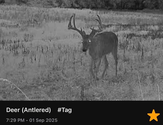 605 Red Oak Rd, Petersburg, TN 37144