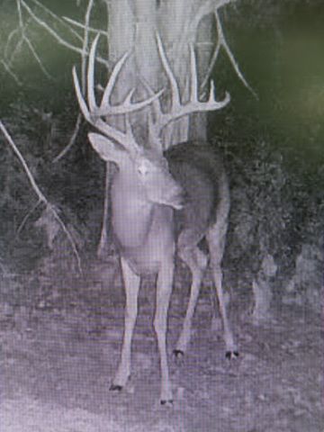 605 Red Oak Rd, Petersburg, TN 37144