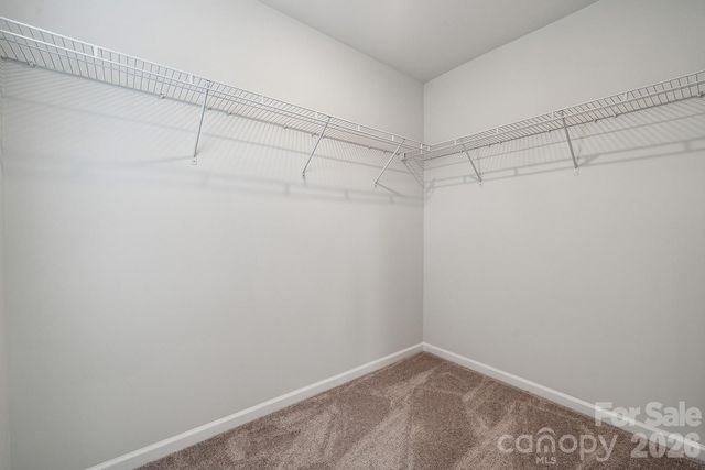 7005 Alpharetta Street 20, Charlotte, NC 28216