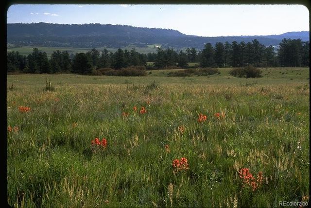 2511 Keep Drive, Sedalia, CO 80135