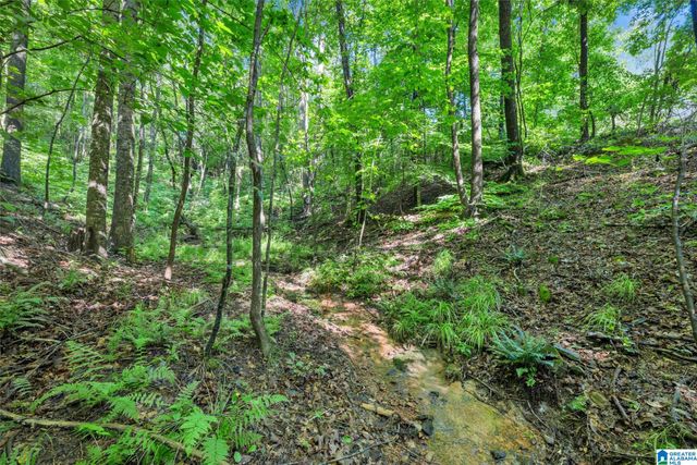 1280 HICKORY VALLEY ROAD, Trussville, AL 35173