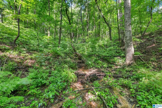 1280 HICKORY VALLEY ROAD, Trussville, AL 35173