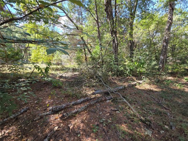 180 Cedar Drive, Streetman, TX 75859