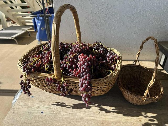 2187 Mil Sorpresas Drive, Fallbrook, CA 92028