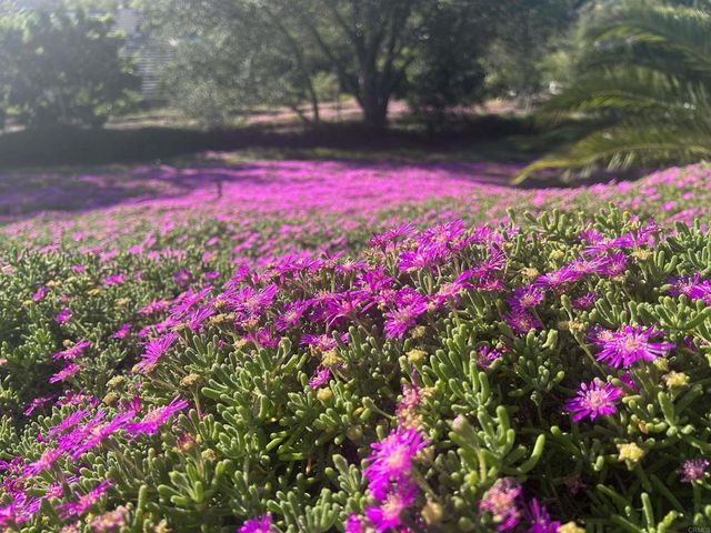 2187 Mil Sorpresas Drive, Fallbrook, CA 92028