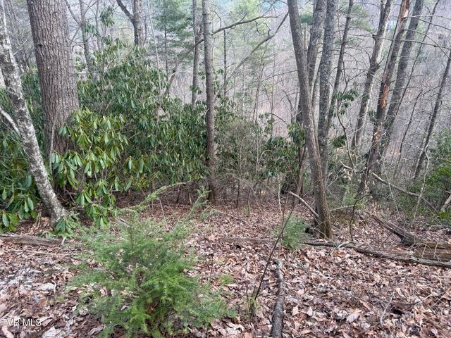 Tbd Banjo Ridge Lot 8,37,38 Road, Butler, TN 37640