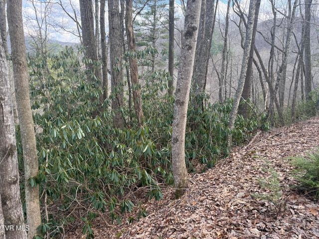 Tbd Banjo Ridge Lot 8,37,38 Road, Butler, TN 37640