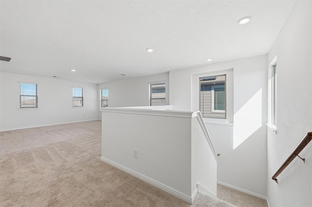 2019 Damasi Lane, Fresno, TX 77545