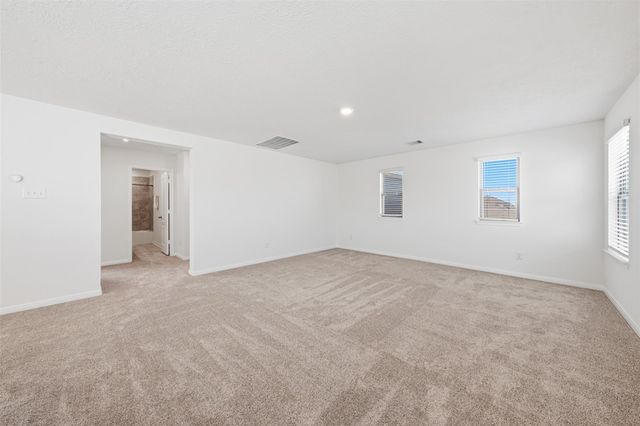 2019 Damasi Lane, Fresno, TX 77545