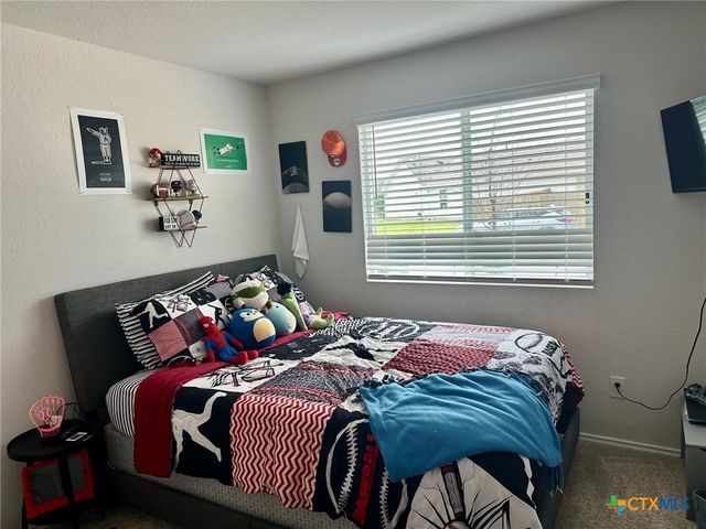 1733 James Street, New Braunfels, TX 78130