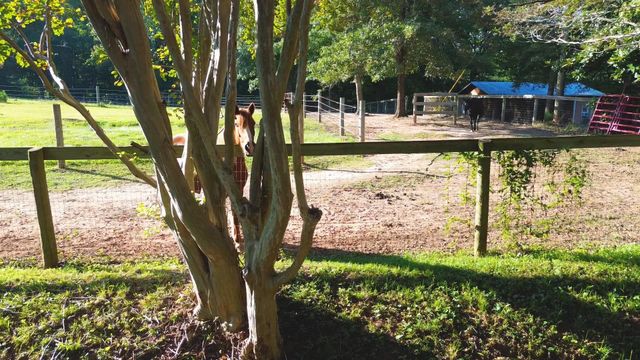 700 N Trade Avenue, Landrum, SC 29356